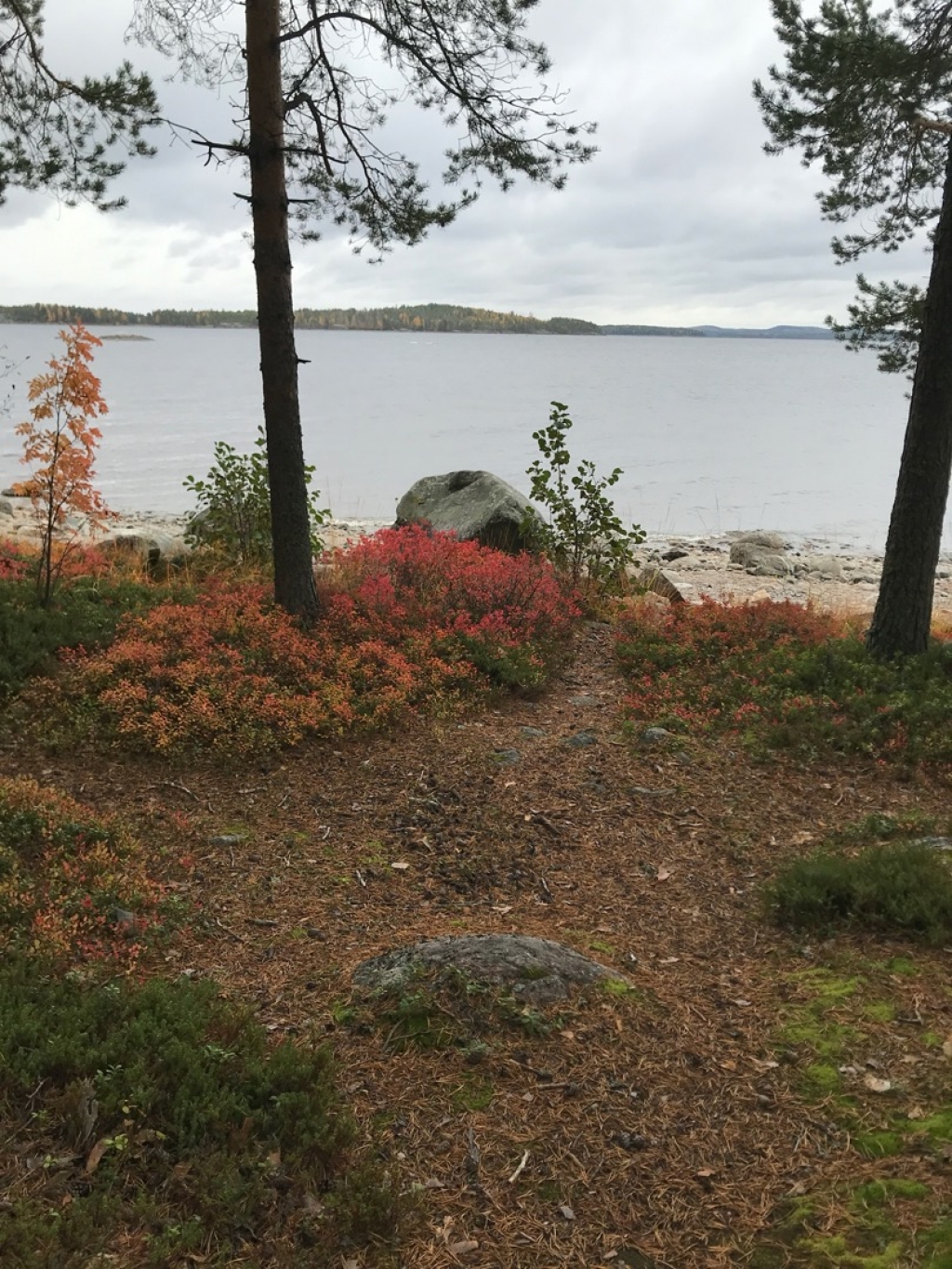 Koli Camping & Caravan Merilänranta