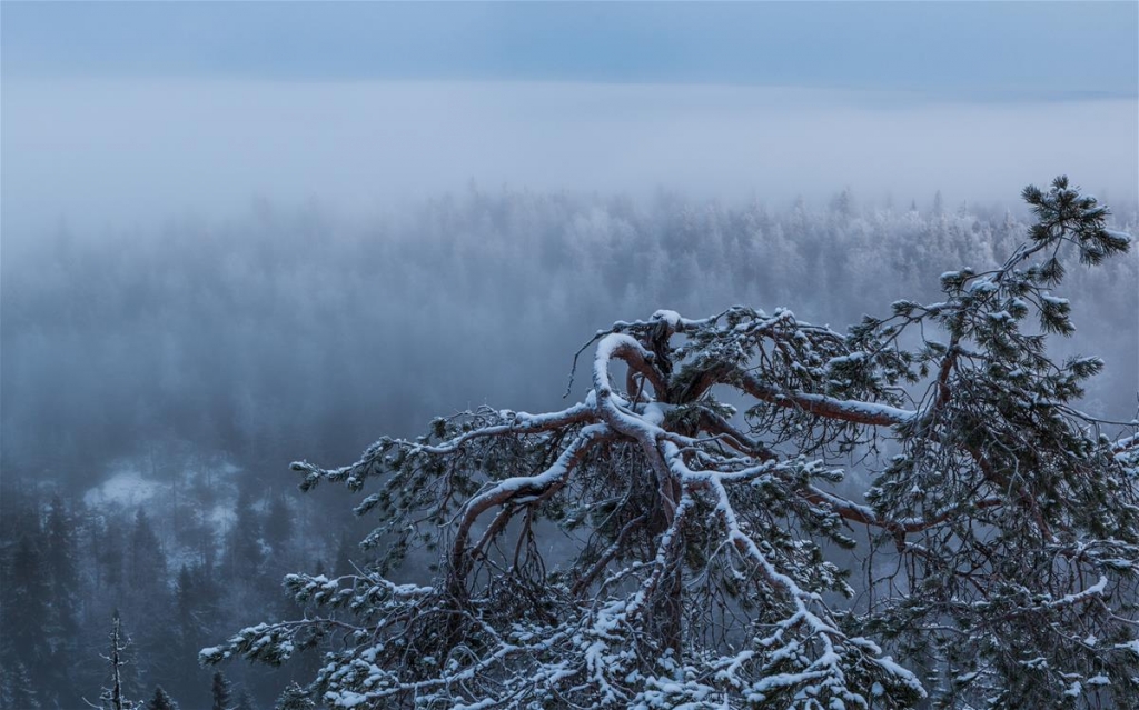 Ukko-Koli